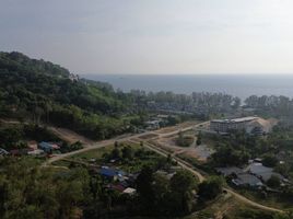  Grundstück zu verkaufen in Thalang, Phuket, Sakhu