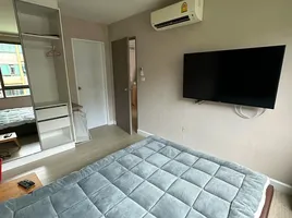 1 Schlafzimmer Wohnung zu verkaufen im Metro Luxe Ratchada, Din Daeng, Din Daeng, Bangkok