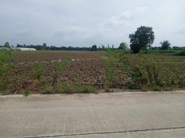  Land for sale in Nong Ya Sai, Suphan Buri, Nong Ya Sai, Nong Ya Sai