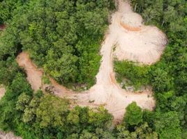  Grundstück zu verkaufen in Thalang, Phuket, Choeng Thale