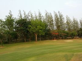  Grundstück zu verkaufen in Cha-Am, Phetchaburi, Huai Sai Nuea