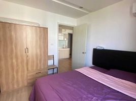 1 Schlafzimmer Appartement zu vermieten im Artemis Sukhumvit 77, Suan Luang, Suan Luang