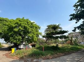  Grundstück zu verkaufen in Phra Khanong, Bangkok, Bang Chak, Phra Khanong