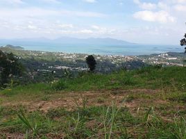  Land for sale in Surat Thani, Bo Phut, Koh Samui, Surat Thani