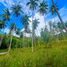 ขายที่ดิน ใน ตลิ่งงาม, สุราษฎร์ธานี, ตลิ่งงาม