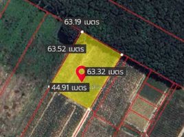  Land for sale in Makham Khu, Nikhom Phatthana, Makham Khu