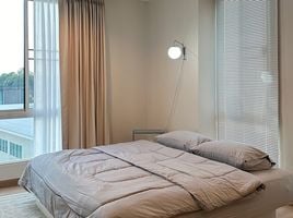 1 спален Кондо в аренду в One Plus Klong Chon 2, Suthep, Mueang Chiang Mai