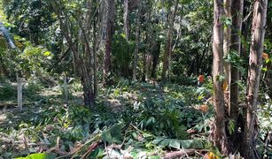 N/A Land for sale in Si Sunthon, Phuket 