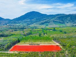  Grundstück zu verkaufen in Ban Khai, Rayong, Bang But