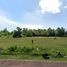  Land for sale in Tha Sala, Nakhon Si Thammarat, Tha Sala, Tha Sala