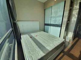 2 Bedroom Condo for sale at Ivy Ampio, Huai Khwang