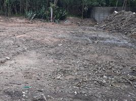  Land for sale in Lampang, Chomphu, Mueang Lampang, Lampang