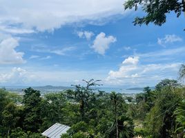  Land for sale in Chalong, Phuket Town, Chalong