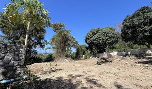 N/A Land for sale in Kamala, Phuket 