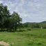  Land for sale in Ao Nang, Mueang Krabi, Ao Nang