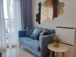 1 Bedroom Condo for rent at Noble Revolve Ratchada, Huai Khwang, Huai Khwang