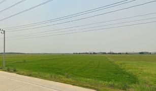 N/A Land for sale in Thanu, Phra Nakhon Si Ayutthaya 