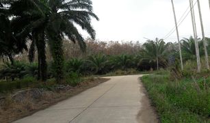 N/A Land for sale in Thung Luang, Chumphon 