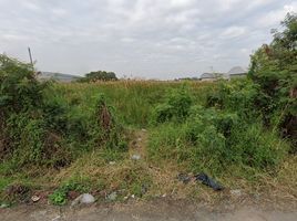  Land for sale in Samut Sakhon, Bang Nam Chuet, Mueang Samut Sakhon, Samut Sakhon