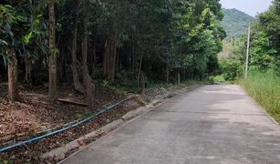 N/A Land for sale in Ko Tao, Koh Samui 