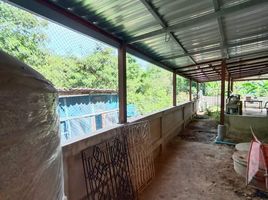 3 Bedroom House for sale in Mueang Chai Nat, Chai Nat, Ban Kluai, Mueang Chai Nat