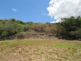  Land for sale in San Jose, Mora, San Jose