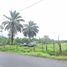  Land for sale in Sarapiqui Heredia, Sarapiqui