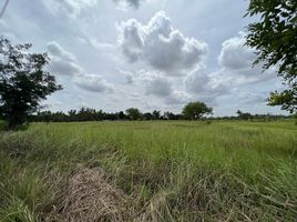  Land for sale in Si Mum, Mueang Nakhon Ratchasima, Si Mum