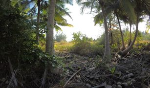 N/A Land for sale in Ko Phra Thong, Phangnga 