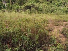  Land for sale in Trat, Ko Chang Tai, Ko Chang, Trat