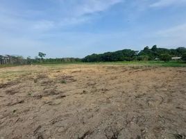  Land for sale in Amazonas, Rio Preto Da Eva, Amazonas