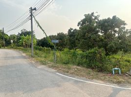  Grundstück zu verkaufen in Hang Dong, Chiang Mai, Nong Tong