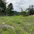  Land for sale in Boquete, Chiriqui, Palmira, Boquete