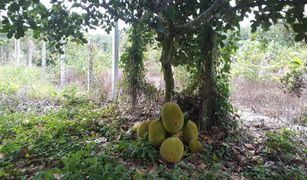 N/A Land for sale in Ban Laeng, Rayong 