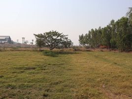  Grundstück zu verkaufen in Bang Pahan, Phra Nakhon Si Ayutthaya, Khwan Mueang