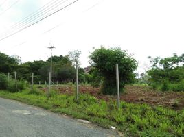  Grundstück zu verkaufen in Pak Chong, Nakhon Ratchasima, Pak Chong