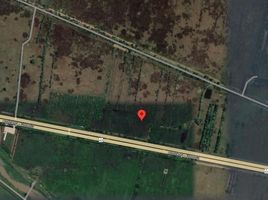  Land for sale in Nong Chik, Pattani, Tuyong, Nong Chik