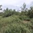  Land for sale in Hua Hin Airport, Hua Hin City, Hua Hin City