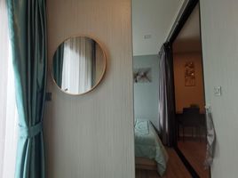 1 Bedroom Condo for rent at Modiz Sukhumvit 50, Phra Khanong, Khlong Toei, Bangkok, Thailand