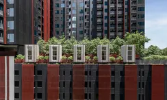 写真 2 of the Communal Garden Area at Life Asoke Hype