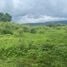  Land for sale in Makro Hangdong, Mae Hia, Mae Hia