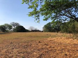  Land for sale in Guanacaste, Hojancha, Guanacaste