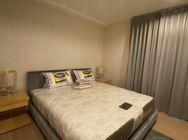 1 Schlafzimmer Appartement zu verkaufen im D25 Thonglor, Khlong Tan Nuea, Watthana