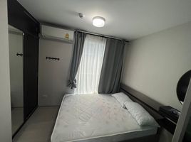 Studio Wohnung zu vermieten im Plum Condo Ram 60 Interchange, Hua Mak, Bang Kapi