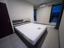 4 Schlafzimmer Reihenhaus zu vermieten in Nai Mueang, Mueang Khon Kaen, Nai Mueang