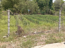  Land for sale in Cham Phak Phaeo, Kaeng Khoi, Cham Phak Phaeo