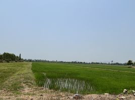  Land for sale in Nong Pla Mo, Ban Pong, Nong Pla Mo