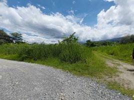 ขายที่ดิน ใน แม่ริม เชียงใหม่, ดอนแก้ว, แม่ริม