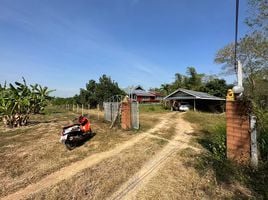  Grundstück zu verkaufen in Tha Yang, Phetchaburi, Khao Krapuk