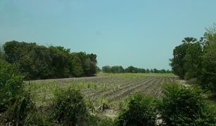 N/A Land for sale in Den Yai, Chai Nat 